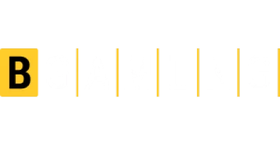 partners who work with Badshah